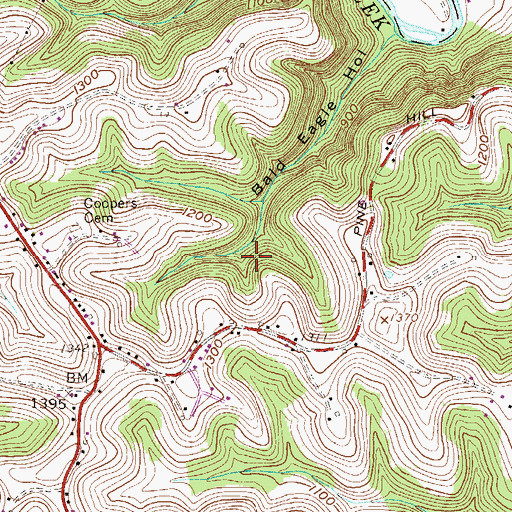 Topographic Map of Daniel Rogerson Spring, WV