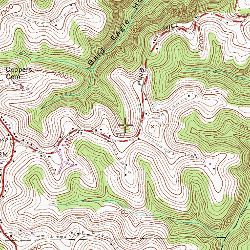 Topographic Map of Daniel Rogerson Spring, WV