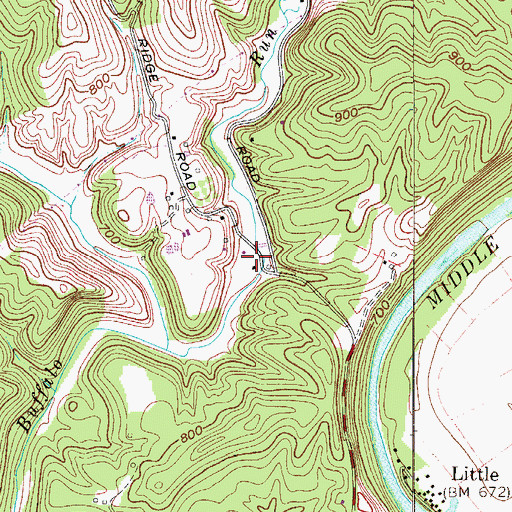 Topographic Map of Buffalo Run School (historical), WV