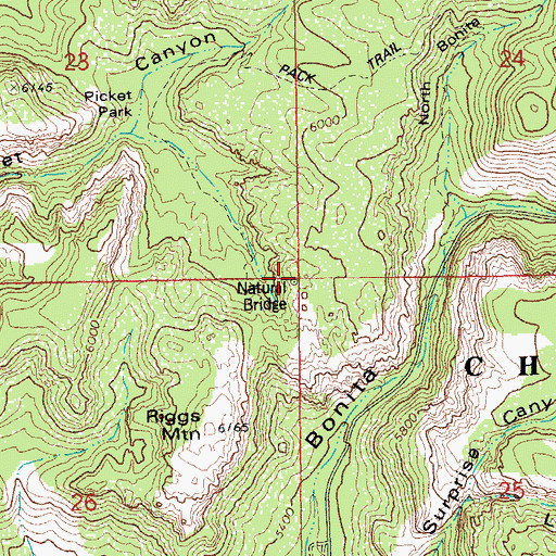 Topographic Map of Chiricahua Natural Bridge, AZ