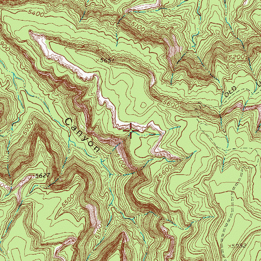 Topographic Map of Cedar Tree Arch, CO