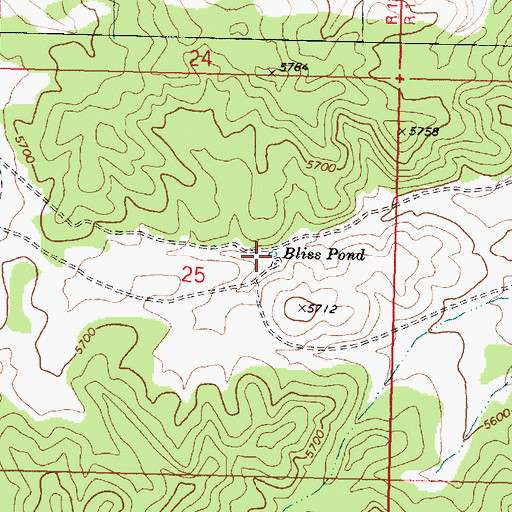 Topographic Map of Bliss Pond, AZ