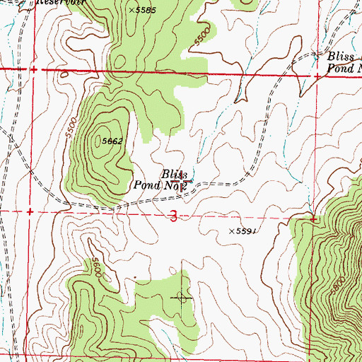Topographic Map of Bliss Pond Number Two, AZ