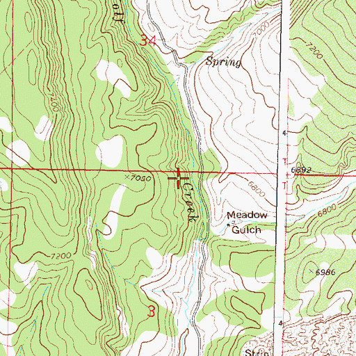 Topographic Map of Champion Mine, CO