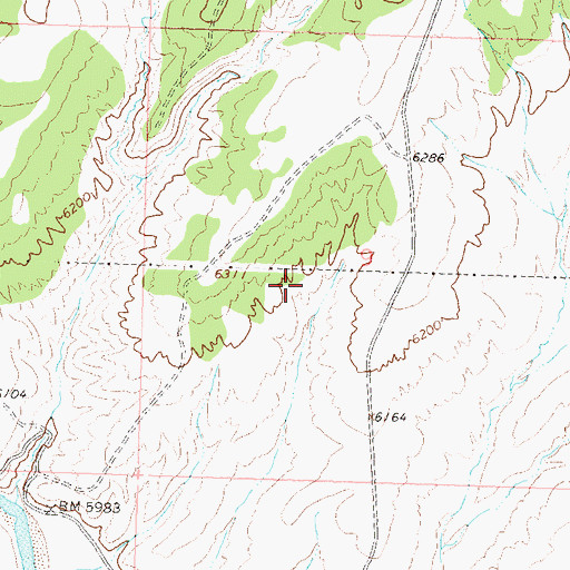 Topographic Map of Cedars Mining Company Claim Number One, CO