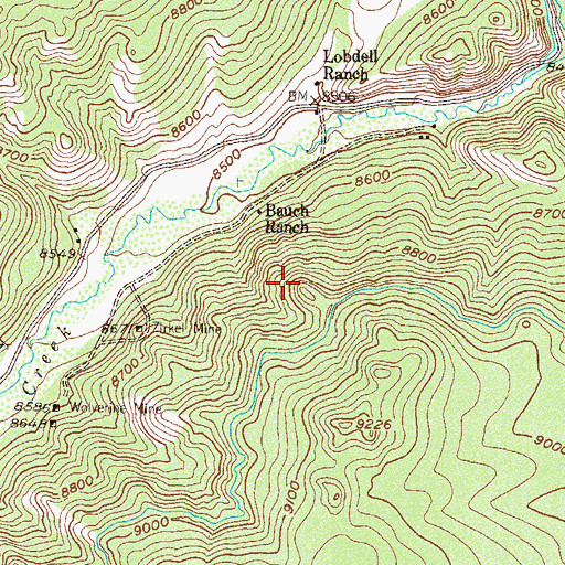 Topographic Map of Gold King Shaft, CO