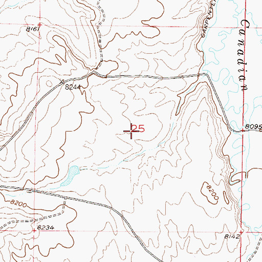 Topographic Map of Lang Prospect, CO