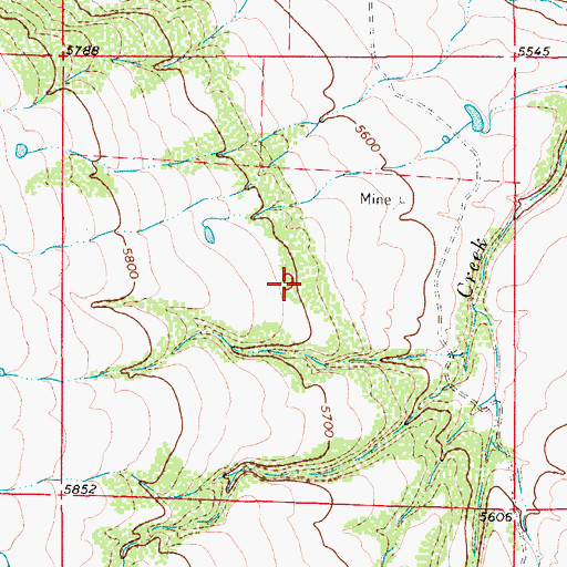 Topographic Map of Moore Property Mine, CO