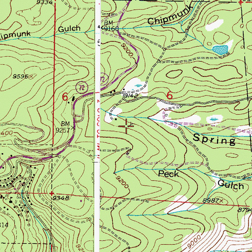 Topographic Map of Nelson Mine, CO