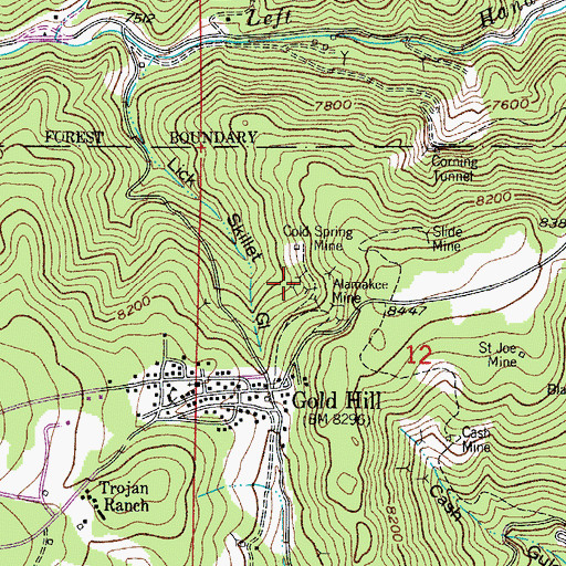 Topographic Map of Gold Ring Mine, CO