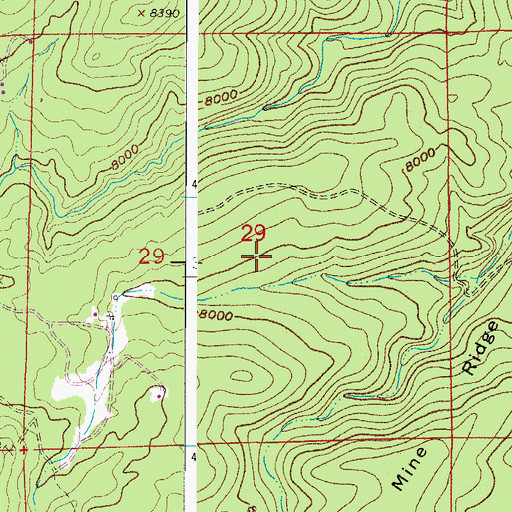 Topographic Map of Buckhorn Mica Mine, CO