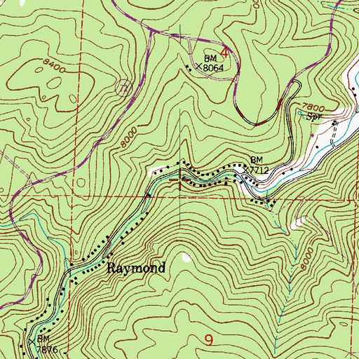 Topographic Map of Bradshaw Mine, CO