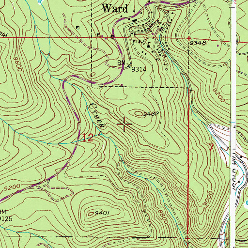 Topographic Map of Black Jack Mine, CO