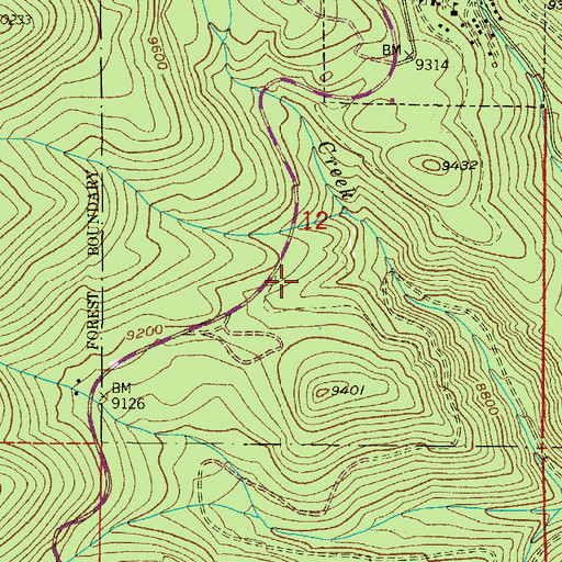 Topographic Map of New California Mine, CO