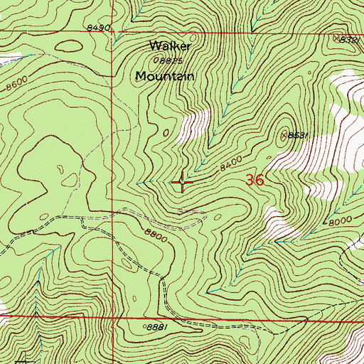 Topographic Map of New Rival-Black Rose Mine, CO