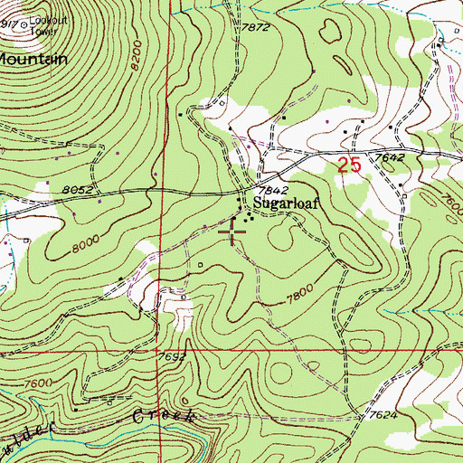 Topographic Map of Nyanza Mine, CO