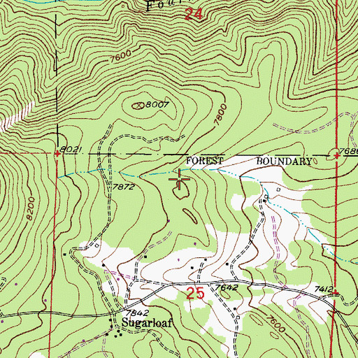 Topographic Map of Overseer Mine, CO