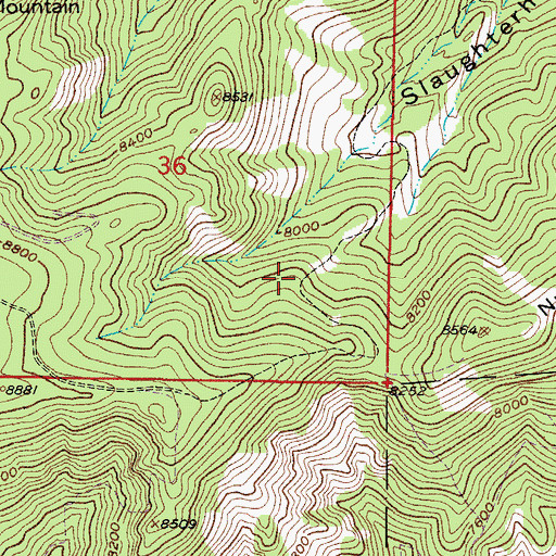 Topographic Map of Thunderbolt-Roman Eagle Mine, CO