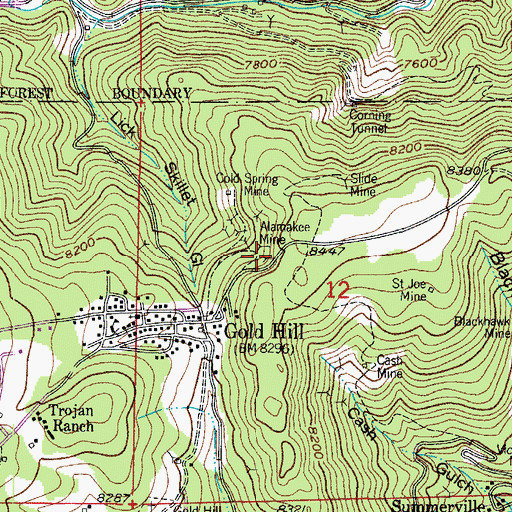 Topographic Map of Times Mine, CO