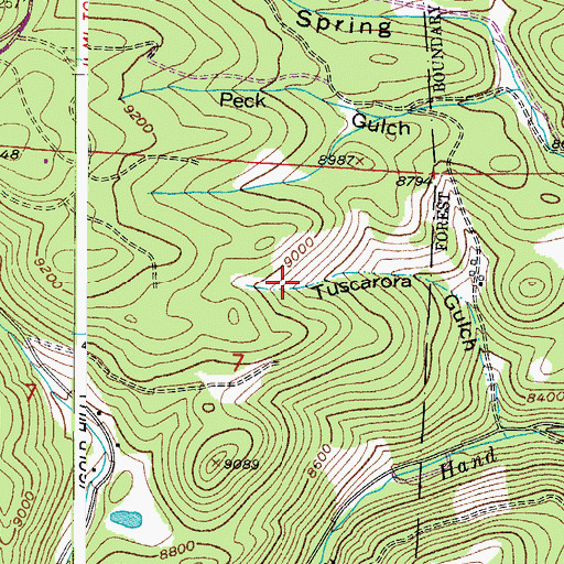 Topographic Map of Wolf Tongue Mine, CO