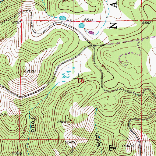 Topographic Map of Wild Tiger Mine, CO