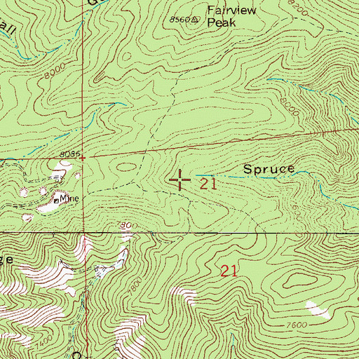Topographic Map of Eureka Mine, CO
