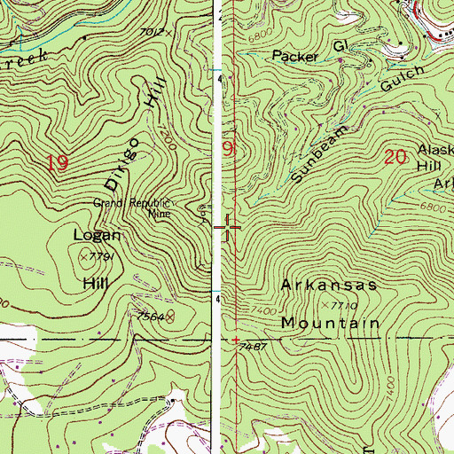 Topographic Map of Logan Mine, CO