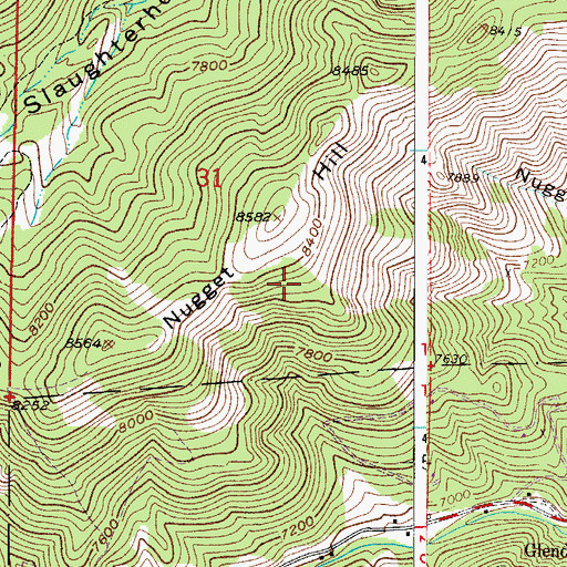 Topographic Map of Nugget Group Mine, CO