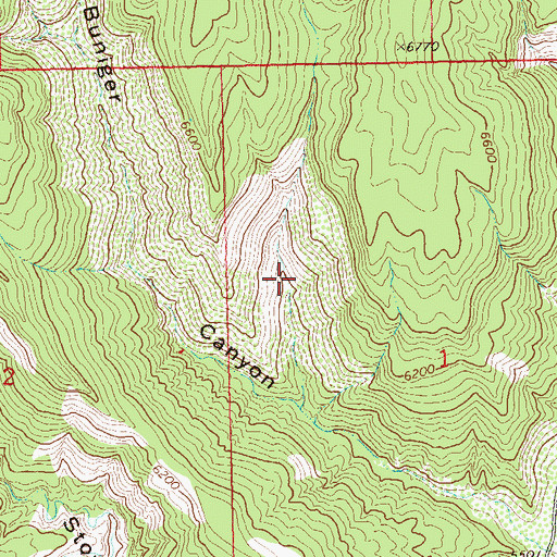 Topographic Map of Bunniger Mine, CO
