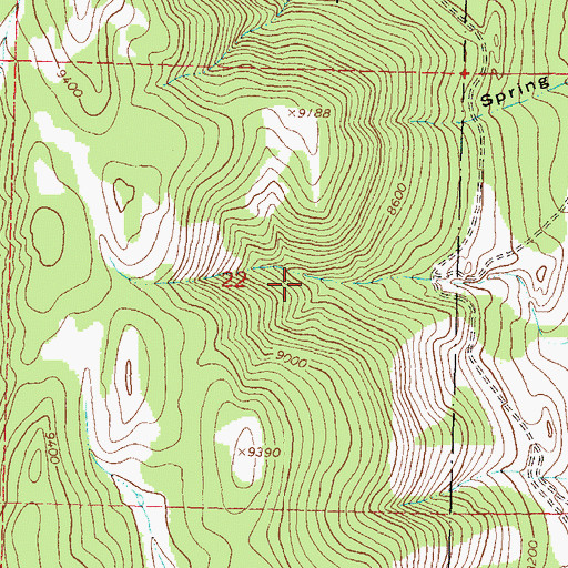Topographic Map of Spring Gulch Mine, CO