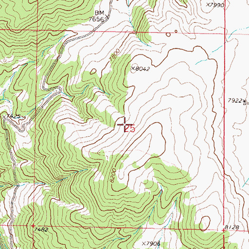 Topographic Map of No Name Mine, CO