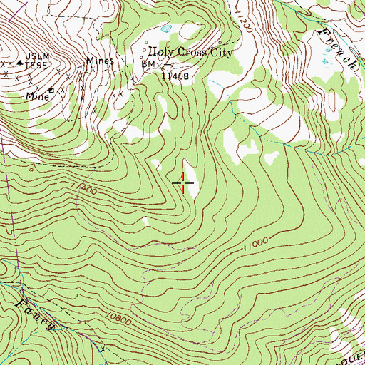 Topographic Map of Newman Mine, CO