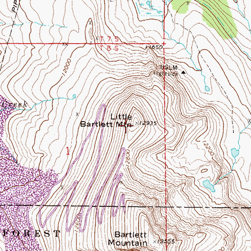 Topographic Map of Columbia Group Mine, CO