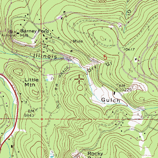 Topographic Map of Pacific-Gold Dust Mine, CO