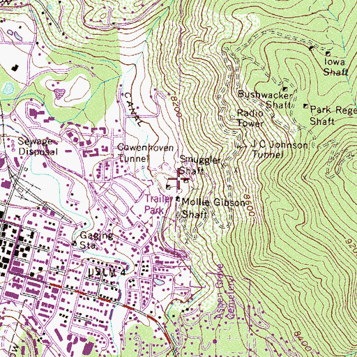 Topographic Map of Smuggler Mine, CO