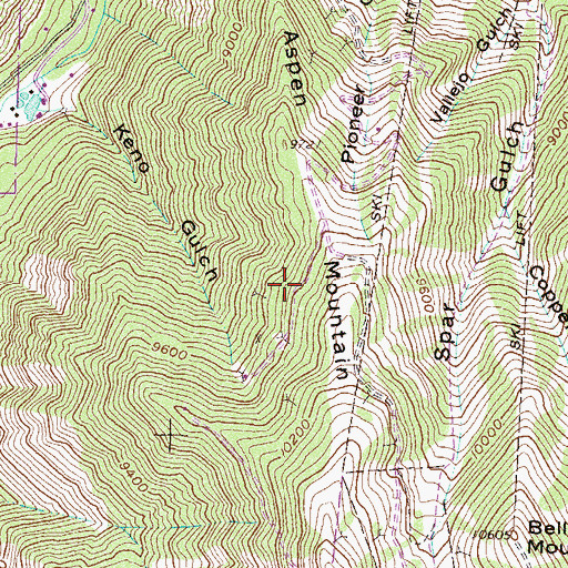 Topographic Map of Saint Paul Shaft Mine, CO