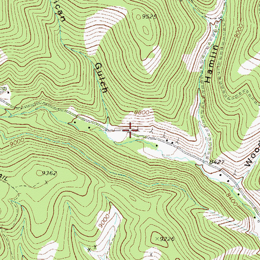Topographic Map of Seeman Tunnel Mine, CO