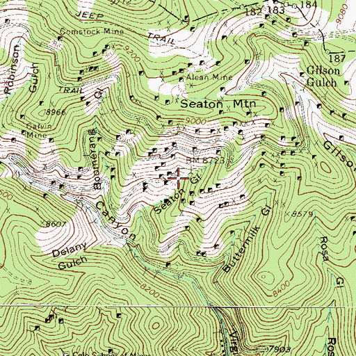 Topographic Map of Tigris Mine, CO