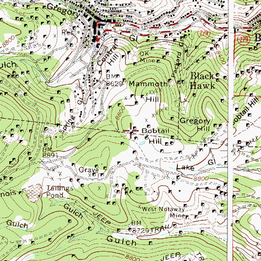 Topographic Map of Brooklyn Mine, CO
