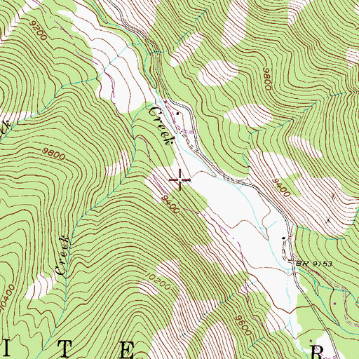 Topographic Map of Puzzler Lode Mine, CO