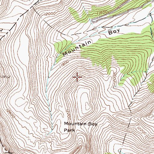 Topographic Map of Mountain Boy Mine, CO