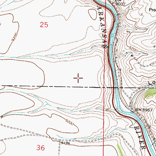 Topographic Map of Luna Placer Mine, CO