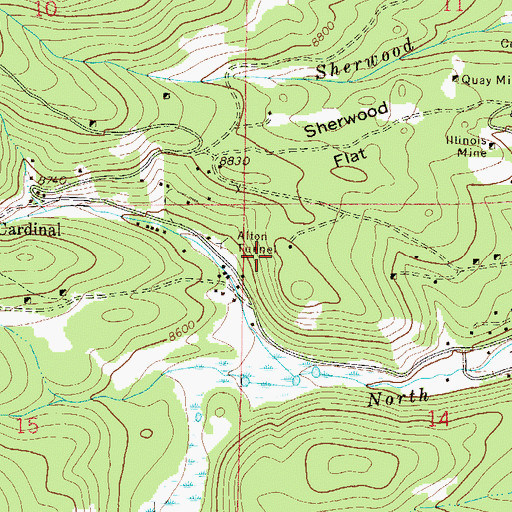 Topographic Map of Silver King Mine, CO