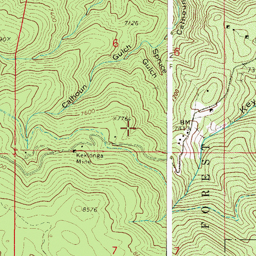 Topographic Map of Jay Bird Mine, CO