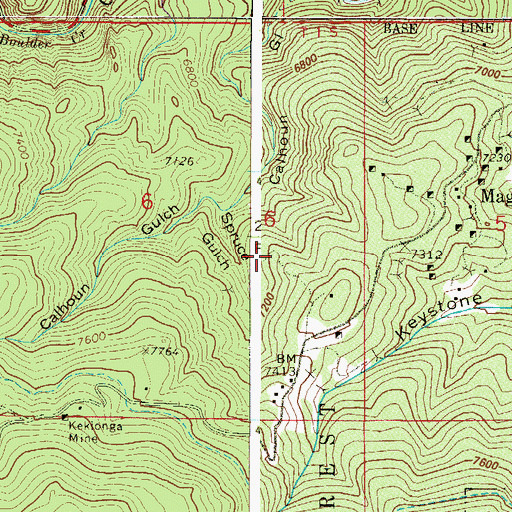 Topographic Map of Black Bear Mine, CO