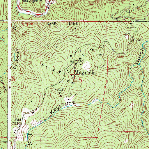 Topographic Map of Senator Hill Mine, CO