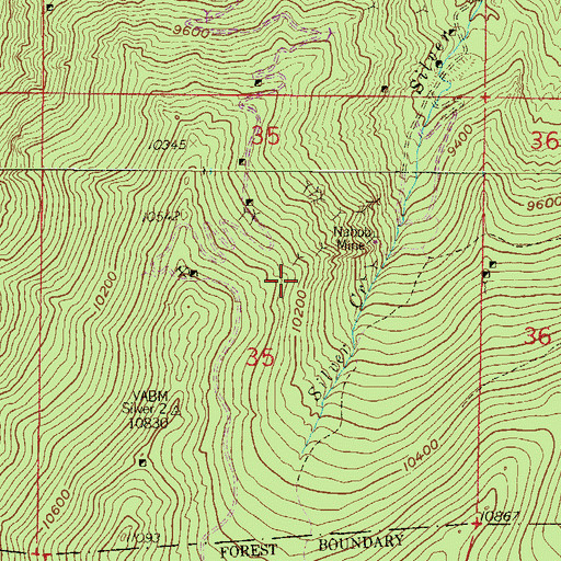 Topographic Map of Cleveland Tunnel Mine, CO