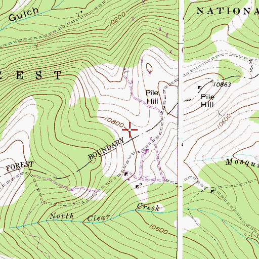Topographic Map of Moose Mine, CO