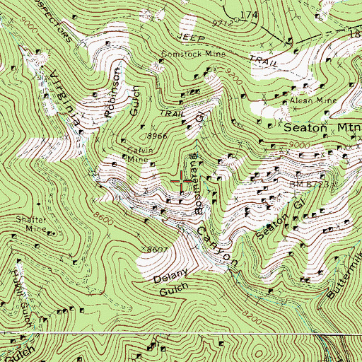 Topographic Map of Bullion Mine, CO
