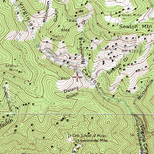 Topographic Map of Edgar Extension Mine, CO
